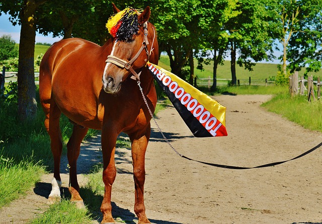了探索基层 了探索基层
