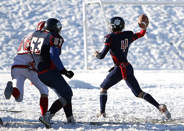 集在法国巴 集在法国巴