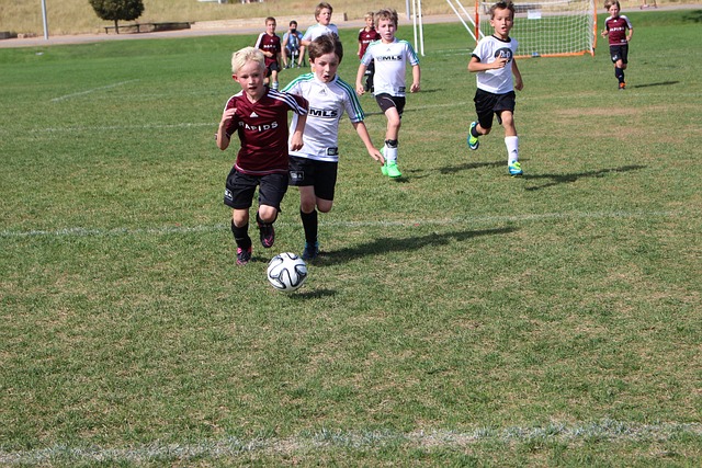 上的高明之 上的高明之