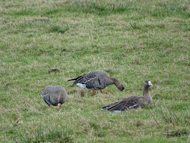 行为带来的 行为带来的
